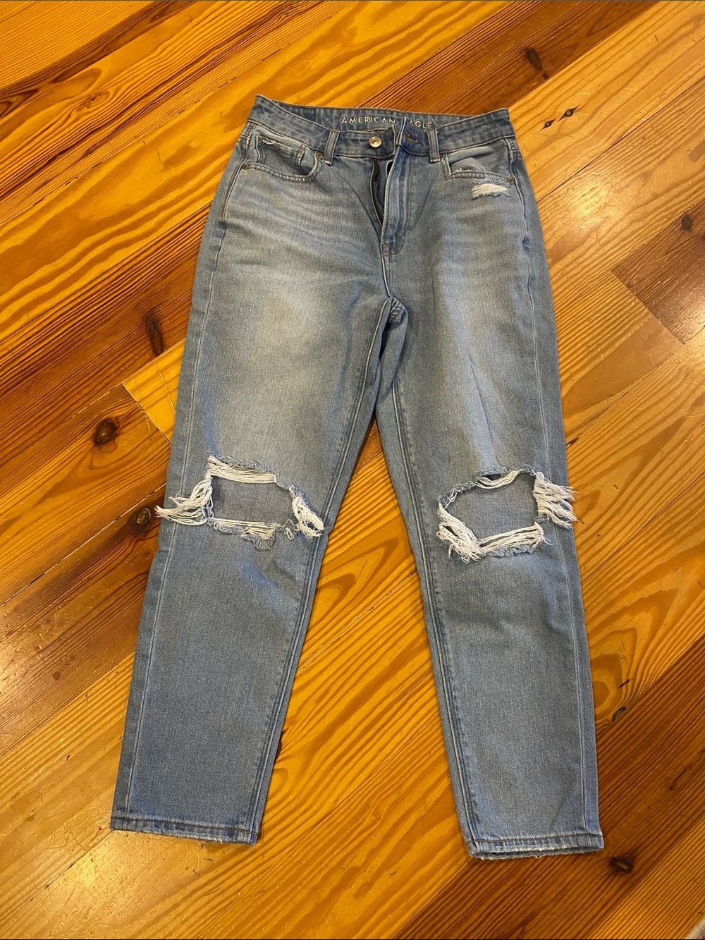 American Eagle Outfitters Light Blue Ripped Boyfriend Jeans size 2 short
